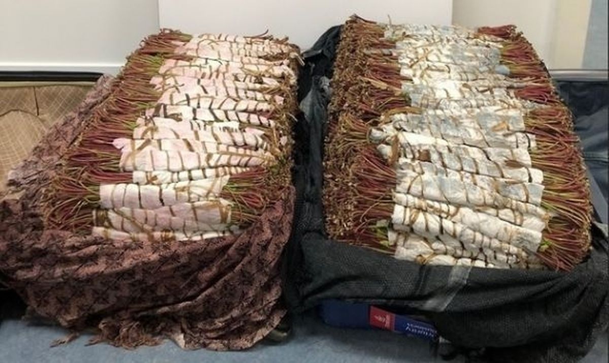 Comment Cacher De La Drogue Dans Sa Valise