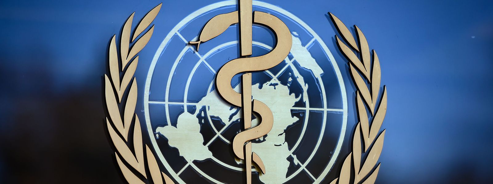 Die Weltgesundheitsorganisation hat ihren Sitz in Genf.