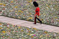TOPSHOT - A King's Guard soldier walks along the lawn covered with flowers at the Windsor Castle on September 19, 2022 in Windsor, England on the day of the state funeral for Queen Elizabeth II. (Photo by ADRIAN DENNIS / POOL / AFP)