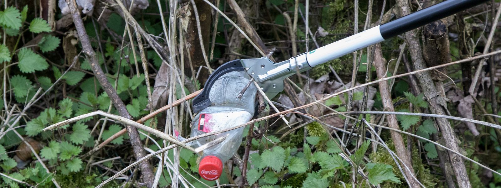 Plastikflaschen landen häufig in der Natur statt im Mülleimer.