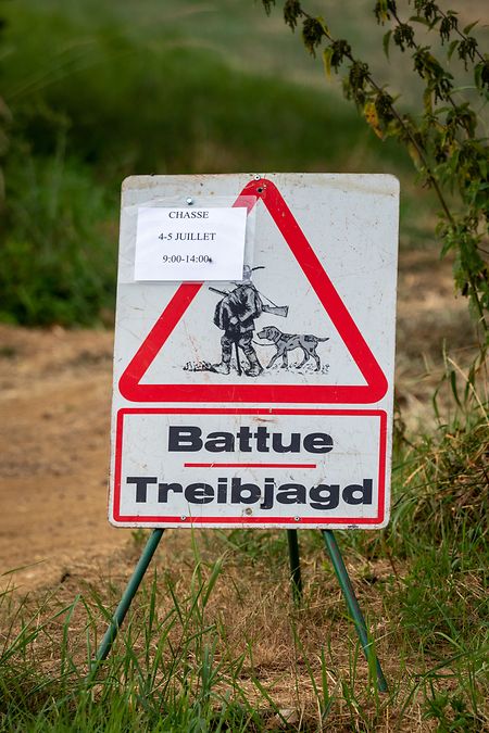 Treibjagden sind ein effizienter Weg, gegen einen allzu großen Widschweinbestand anzugehen.