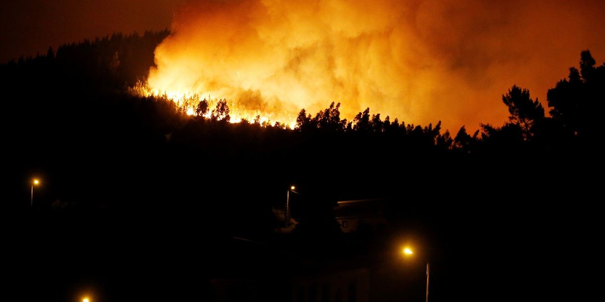 Bei einem der schlimmsten Waldbrände der vergangenen Jahrzehnte in Portugal sind über 60 Menschen ums Leben gekommen.