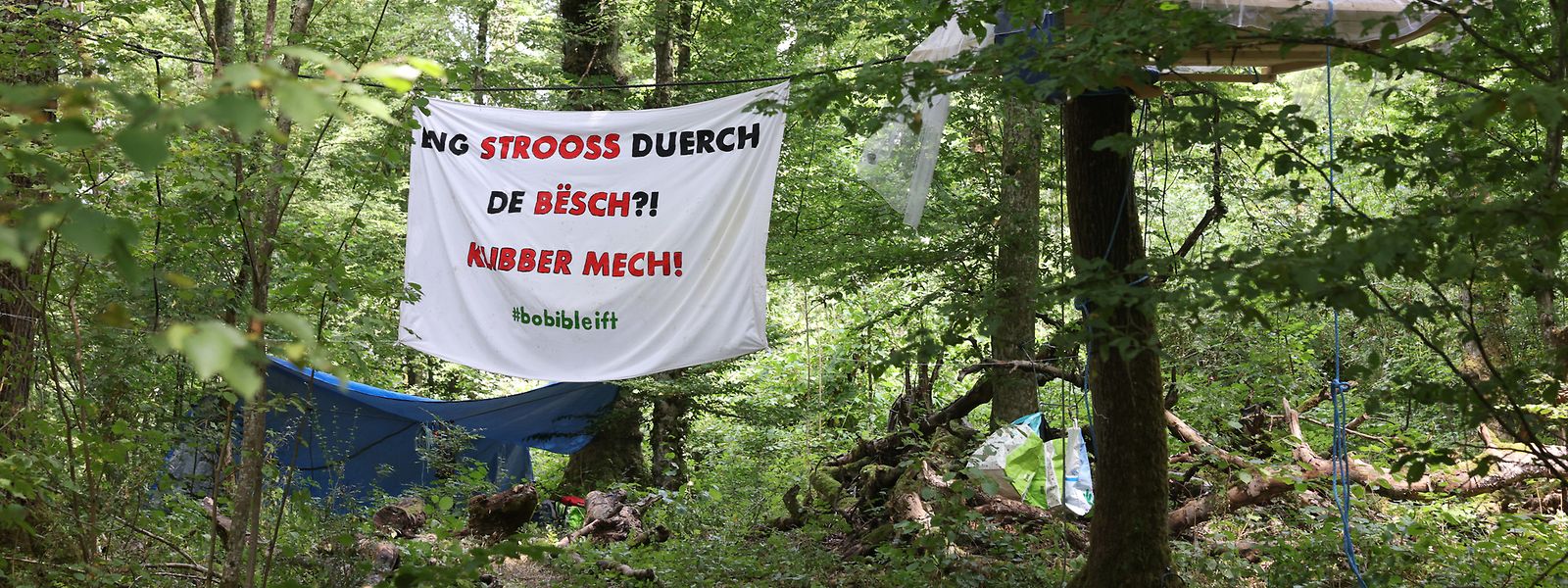 Cet été, la forêt du Bobësch avait été investie par de jeunes défenseurs de l'environnement, qui y ont campé pendant plusieurs jours.