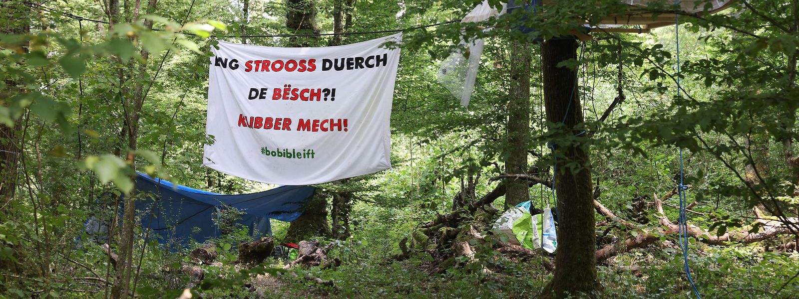 Des militants avaient occupé la forêt de Bobësch cet été. 