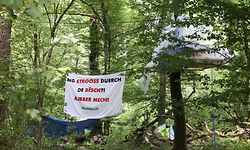 Umweltschützer besetzten das Waldstück im Sommer.