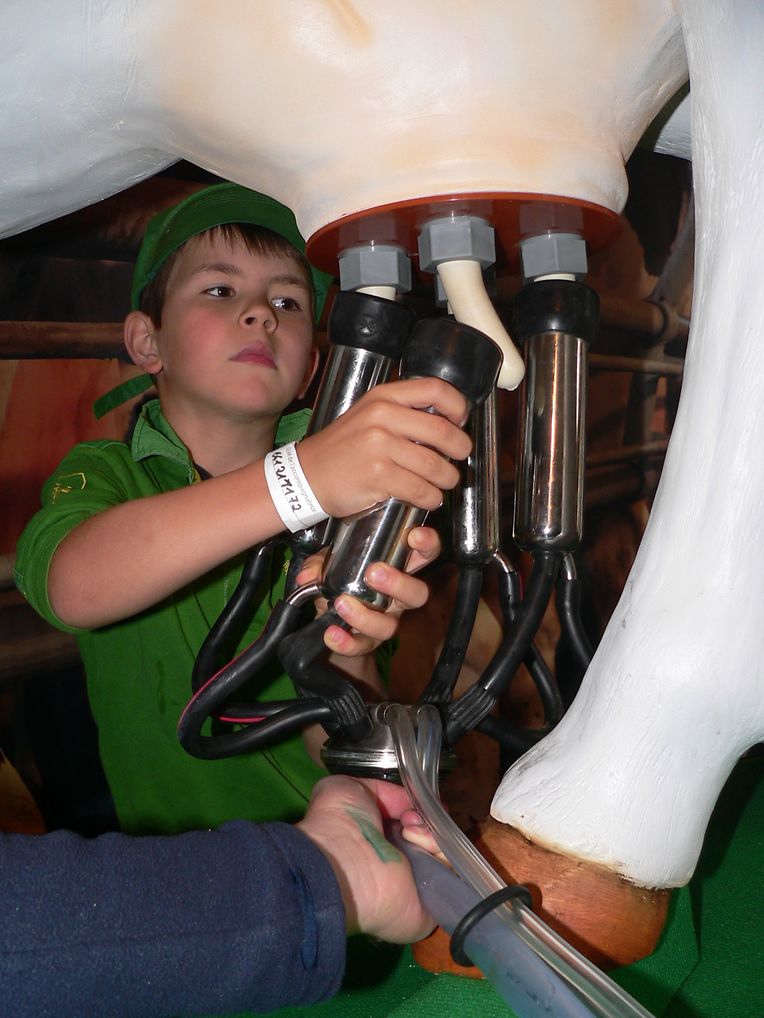 Die "Foire agricole" wusste den Regen am Samstag bereits mit einem abwechslungsreichen Show-Programm zur Nebensache werden zu lassen.