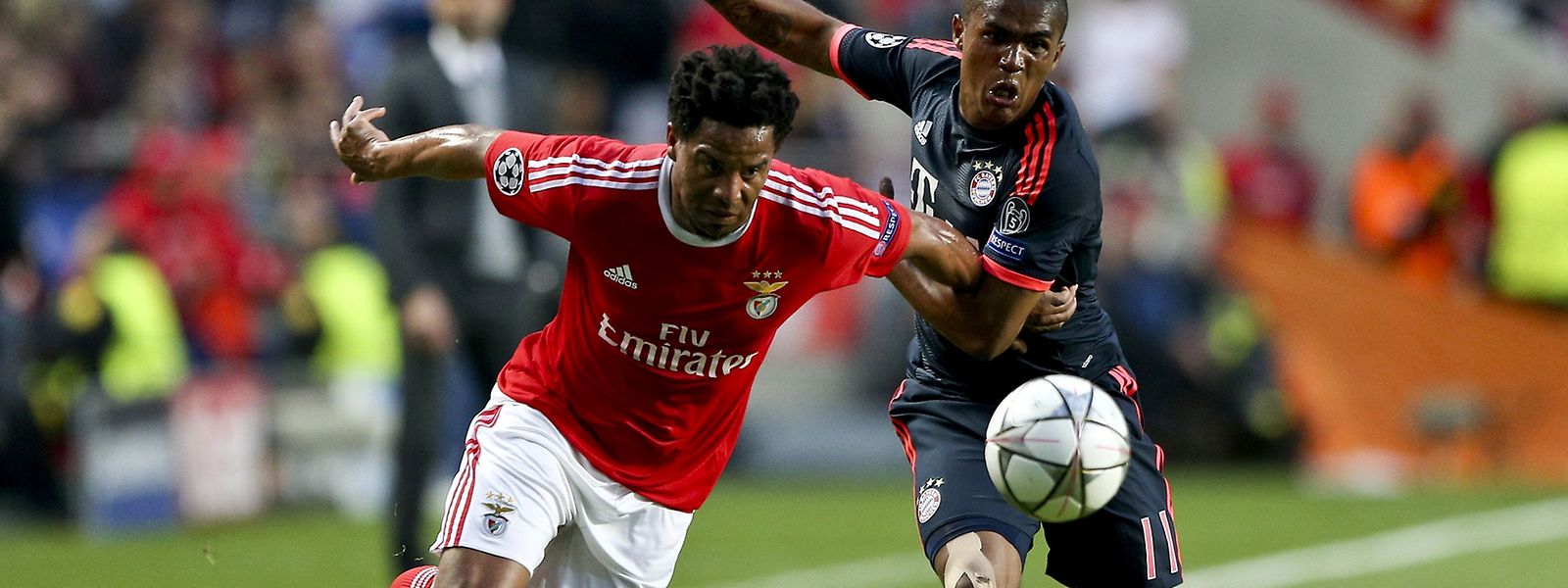 Encarnados, saem de cabeça erguida da 'Champions'