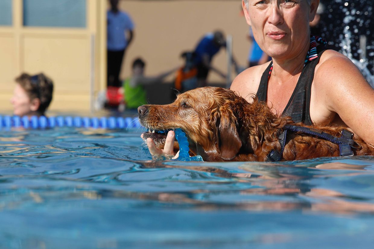 Lokales, Aqua Park, Schwimmbad, Hundeschwimmen, Badespass Foto: Luxemburger Wort/Anouk Antony
