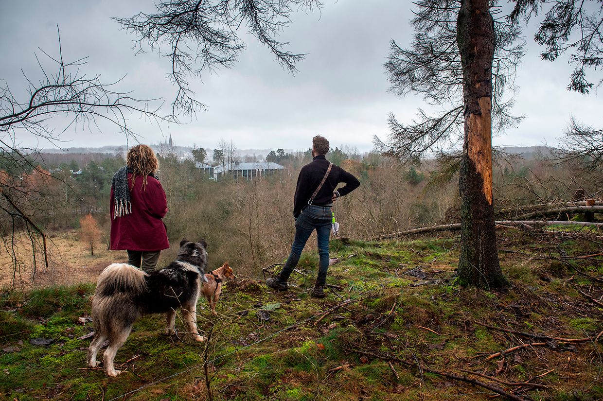 La zone nord se situe au sommet d'une falaise qui domine Arlon. Depuis ce promontoire, les «zadistes» possèdent une vue directe sur le centre-ville, situé  à moins de deux kilomètres à vol d'oiseau.