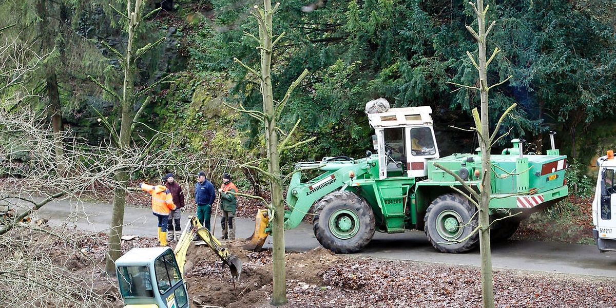 Am Montag haben die Vorbereitungsarbeiten für den Bau einer provisorischen Brücke begonnen.
