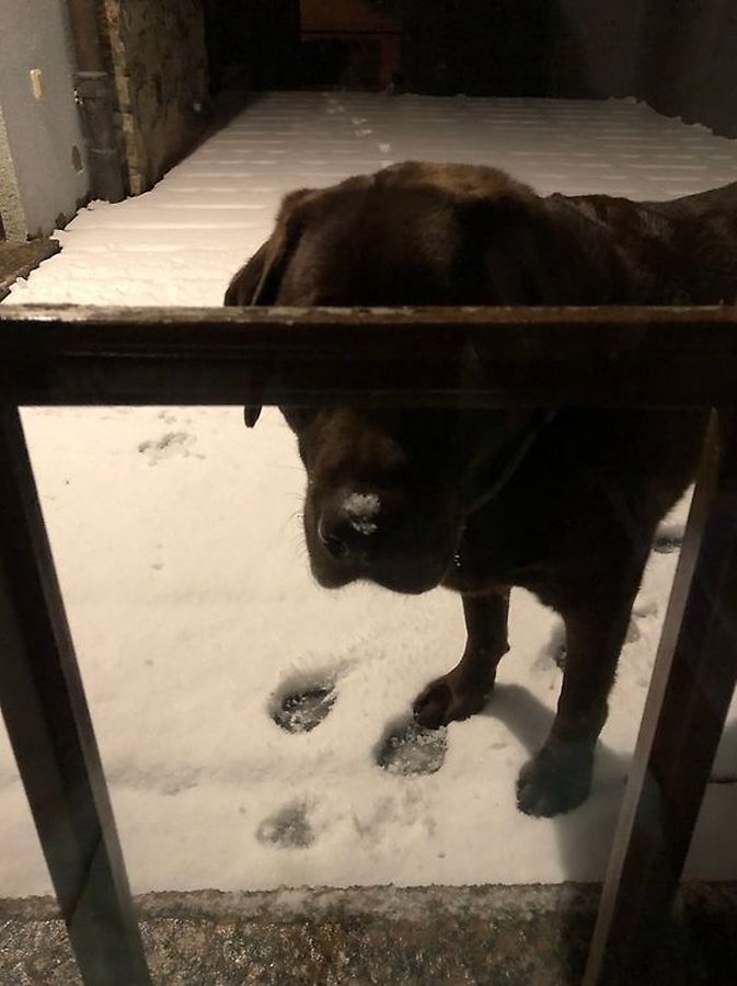 Kalte Füße in Clerf. 