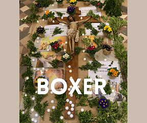 Kannerkraïzwee zu Boxer