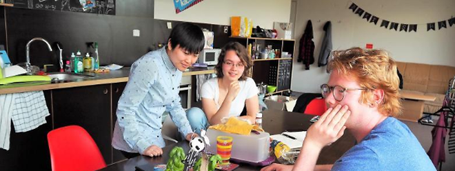 WG-Rat in der Küche