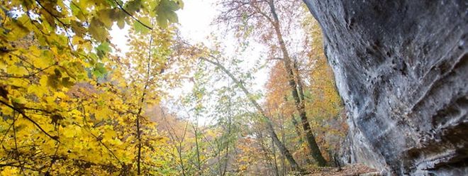 Luxemburg kannte einen überdurchschnittlich schönen Herbst.