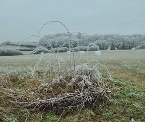 kleine winterliche Runde bei Hassel