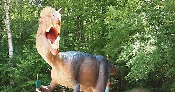 Pegada de dinossauro com 154 milhões de anos descoberto na Figueira da Foz - Vimarsana News