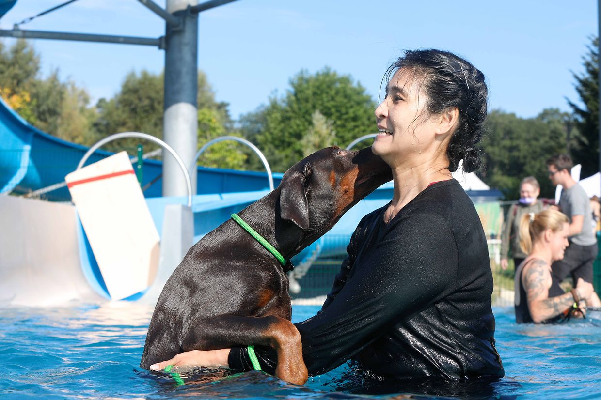 Lokales, Aqua Park, Schwimmbad, Hundeschwimmen, Badespass Foto: Luxemburger Wort/Anouk Antony