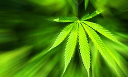 Cannabis Legalisierung Debatte; Shutterstock