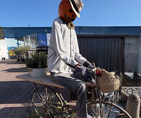 Op de Velo a lass