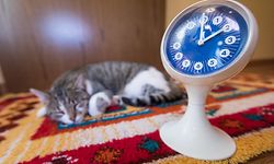 Nicht jeder kann die Stunde mehr Schlaf genießen  - der Biorhythmus richtet sich nicht nach der Uhr, sondern unter anderem nach Gewohnheiten und Tageslicht. 