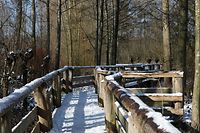 Schnee war in den vergangenen Monaten öfters ein Thema.