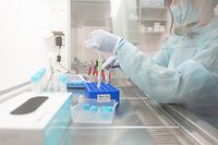 17.12.2021, Hessen, Gießen: Eine Labormitarbeiterin bereitet Proben im Bioscientia MVZ Labor Mittelhessen für einen PCR-Test vor. Mittels PCR-Corona-Test kann in einer Probe zuverlässig nachgewiesen werden, ob Erreger vorhanden sind. Foto: Sebastian Gollnow/dpa +++ dpa-Bildfunk +++
