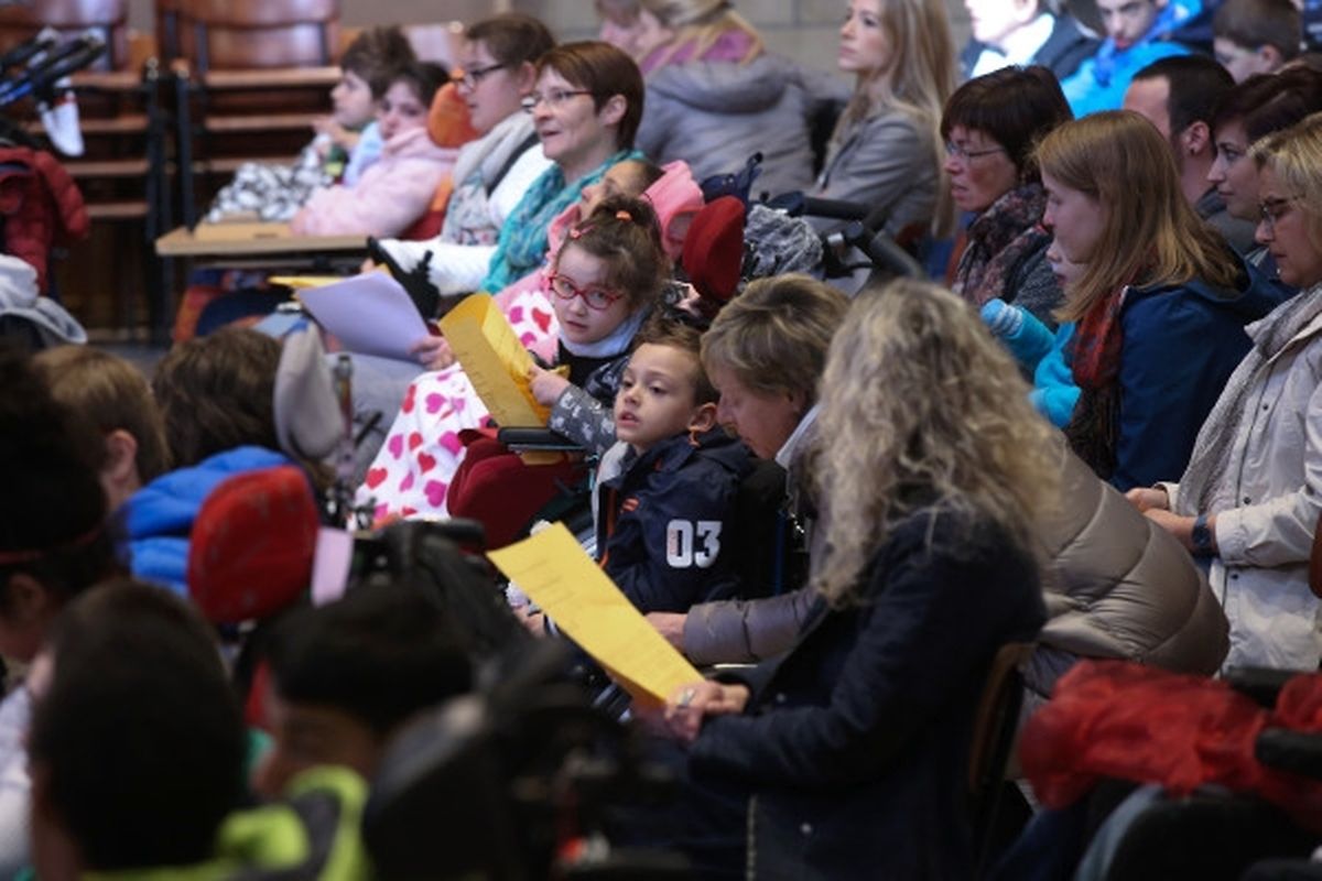 des „Institut pour Déficients Visuels“ und des „Institut pour Infirmes Moteurs Cérébraux“ in Luxemburg, für das „Tricentenaire“, das „Institut St-Joseph Betzdorf“, die „Association des Aveugles du Luxembourg“ und das „Centre Kräizbierg“ Düdelingen.