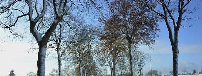 Trotz einzelner Schneeschauer ließ sich im Winter 2016/17 auch die Sonne oft blicken.