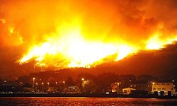 In Podstrana (in der Nähe von Split), brennt der Wald lichterloh. 