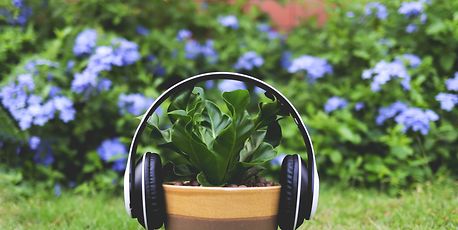 Podcast inspiration - Vimarsana News