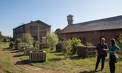 26.6.Dudelange / Neischmelz / Transitionphase / Urban Garden , Street Ball Foto:Guy Jallay
