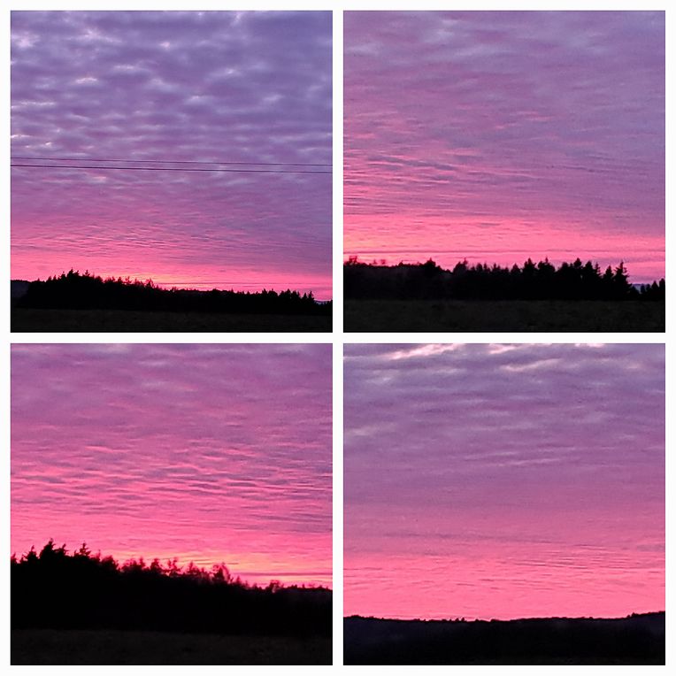 mywort - Feieralarm um Oweshimmel