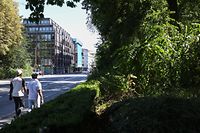 12.08.2022 geplante Strecke der Tram , Tramstrecke avenue de la Porte-Neuve  ,  Luxemburg , Foto: Marc Wilwert / Luxemburger Wort