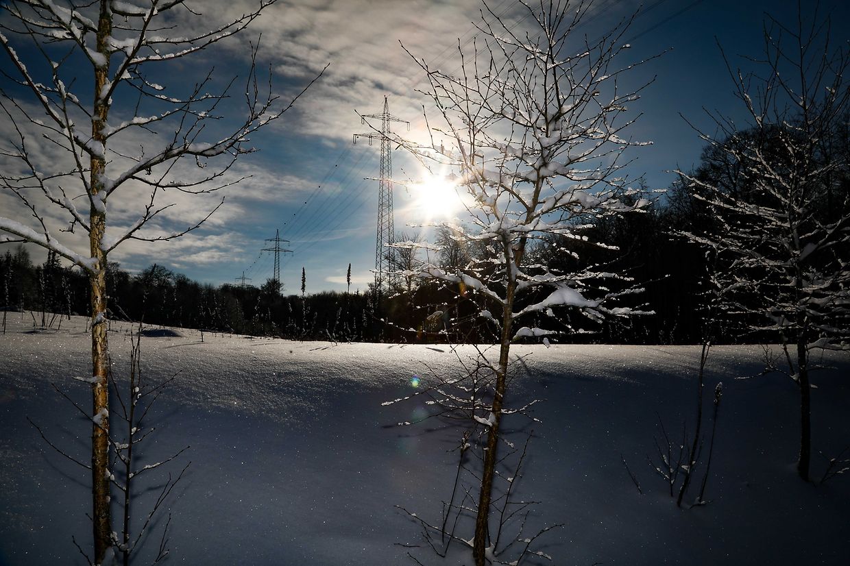 Illustration, Schnee, Winter, Winterlandschaft, Foto: Anouk Antony/Luxemburger Wort