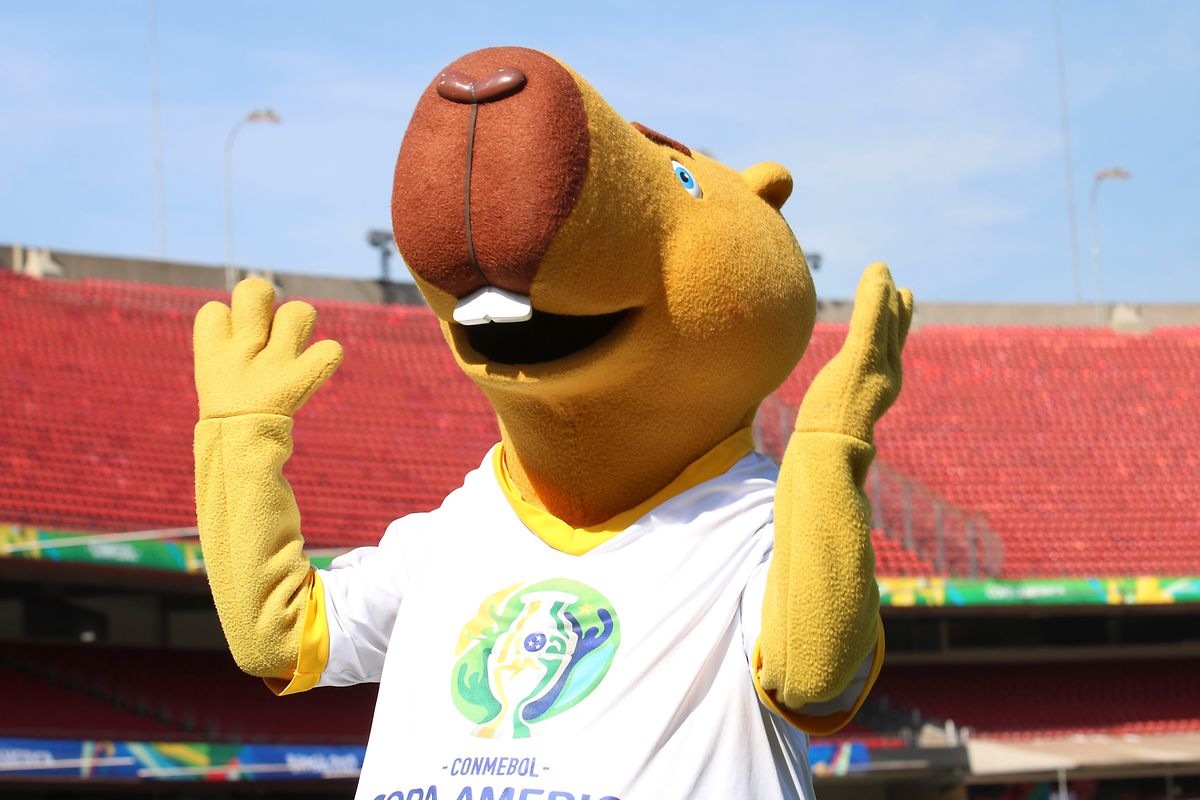 Zizito, la mascotte de cette Copa America 2019. 