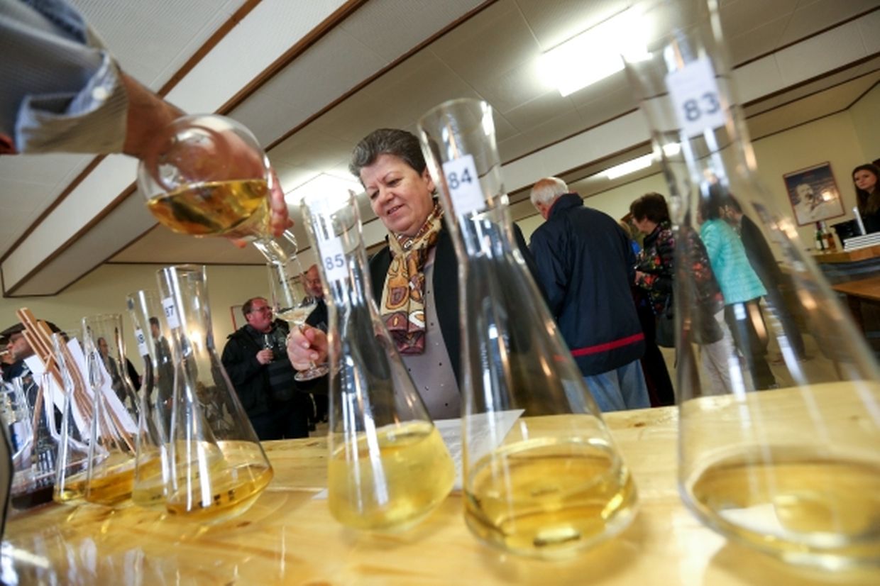 Proufdag in den "Caves du Sud" bei den Domaines Vinsmoselle in Remerschen. 