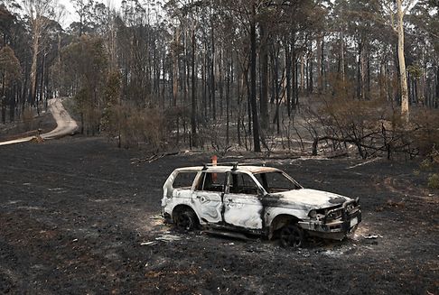 Brände in Australien: Tennisspieler sammeln Spenden