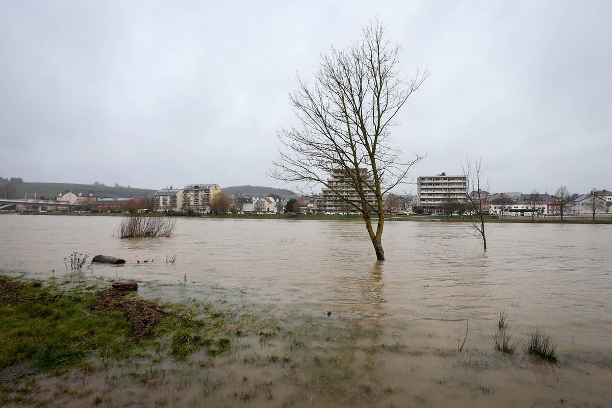 Hochwasser an der Mosel, hier am Mittwoch in Grevenmacher.