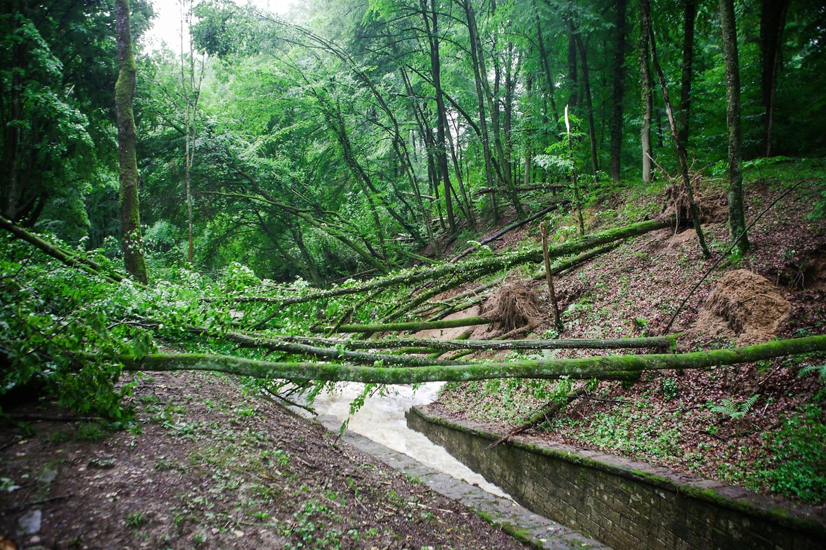 Das Müllerthal war am schwersten betroffen.