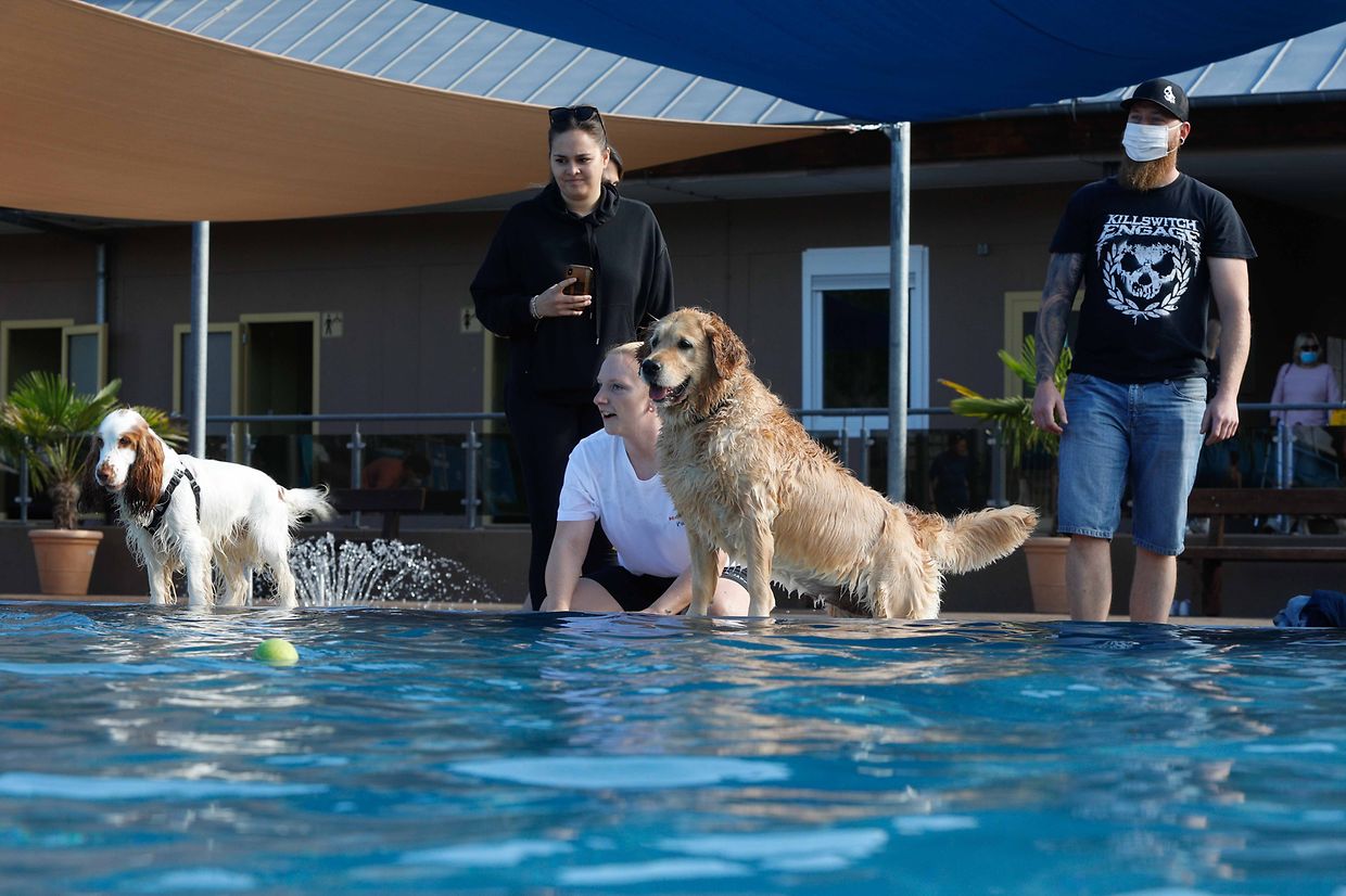 Lokales, Aqua Park, Schwimmbad, Hundeschwimmen, Badespass Foto: Luxemburger Wort/Anouk Antony