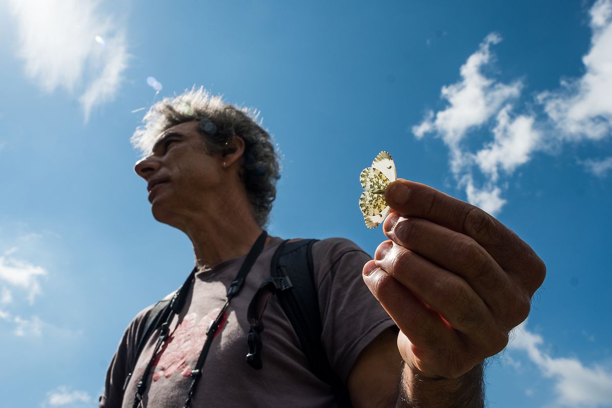 Constantin Stepanescu segura uma borboleta em Montseny.