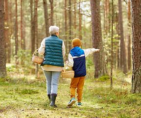 mushroom picking season, leisure and people concept - grandmother and grandson with baskets walking in forest