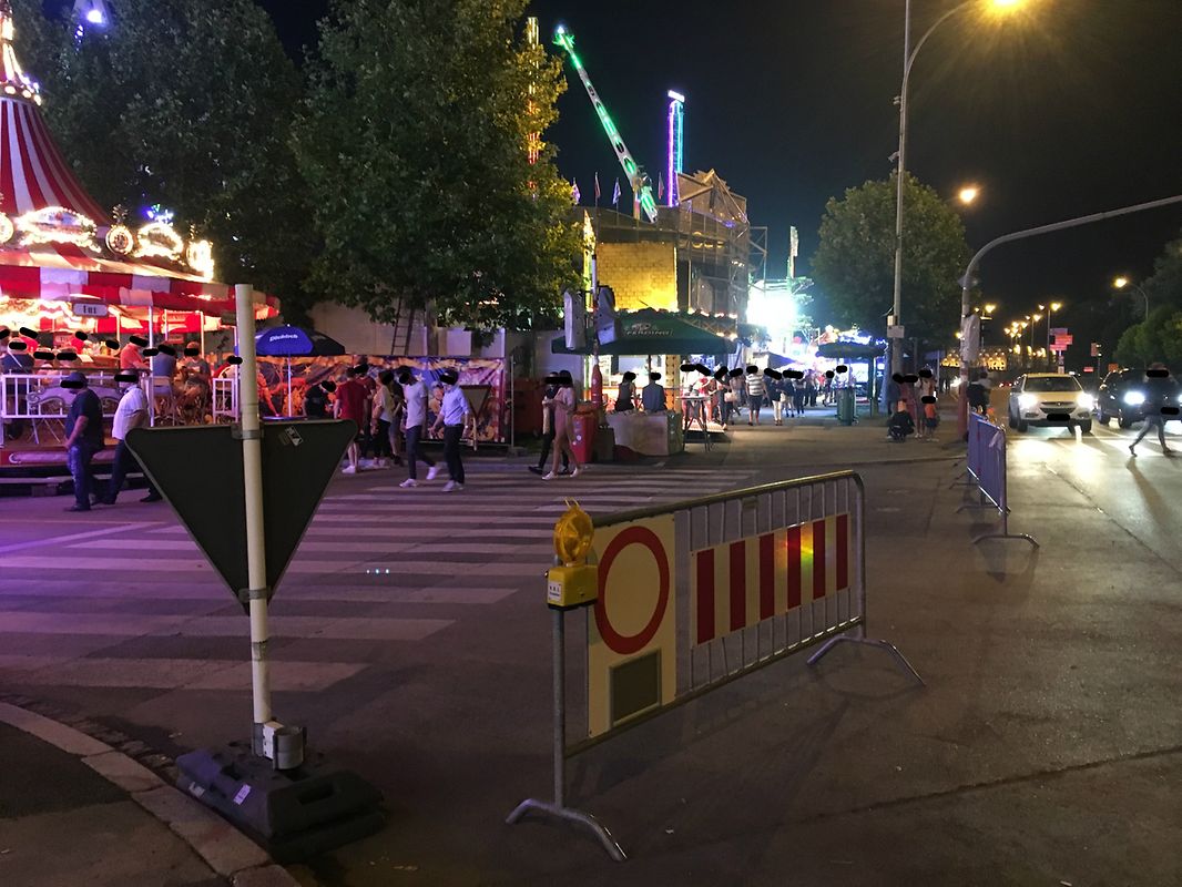 Entrée située à l'intersection du boulevard de la Foire avec l'avenue de la Faïencerie: un très large espace ouvert et trois barrières standards
