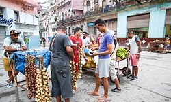 A view of the small mobile stand with vegetables place. A typical scene from daily life in Havana's center.
Since the 24th May, the Cuban Government legalized small and medium-sized private businesses in a move that could significantly expand private enterprise in one of the world's last communist countries. Those reforms have allowed about half a million Cubans to start work in the private sector. However, the process has been very slow and marked by periodic reversals.
On Sunday, 26 November 2016, in Havana, Cuba. (Photo by Artur Widak/NurPhoto via Getty Images)