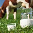 Milch - ein wahrer Muntermacher.