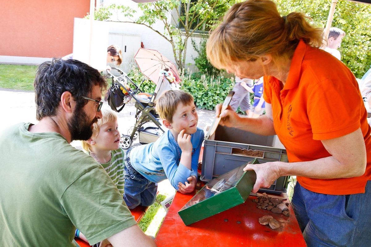 Sonnenschein und angenehme Temperaturen bildeten den Rahmen des Kids Day 2016.