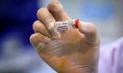 (FILES) This file photo taken on May 23, 2020 shows a laboratory technician holding a dose of a COVID-19 novel coronavirus vaccine candidate ready for trial on monkeys at the National Primate Research Center of Thailand at Chulalongkorn University in Saraburi. - Global competition with huge financial stakes, the quest for a vaccine against Covid-19 is advancing at unprecedented speed. In its last point dated July 24, the WHO lists 25 "vaccine candidates" evaluated in clinical trials on humans around the world (against 11 in mid-June). (Photo by Mladen ANTONOV / AFP)
