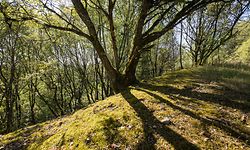 Lokales, Wanderung im ehemaligen Tagebaugebiet Giele Botter, Minette, Foto: Lex Kleren/Luxemburger Wort