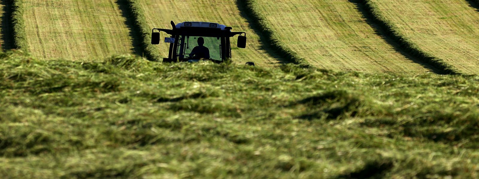 Die EU-Agrarreform sieht unter anderem mehr Unterstützung für Kleinbauern vor.