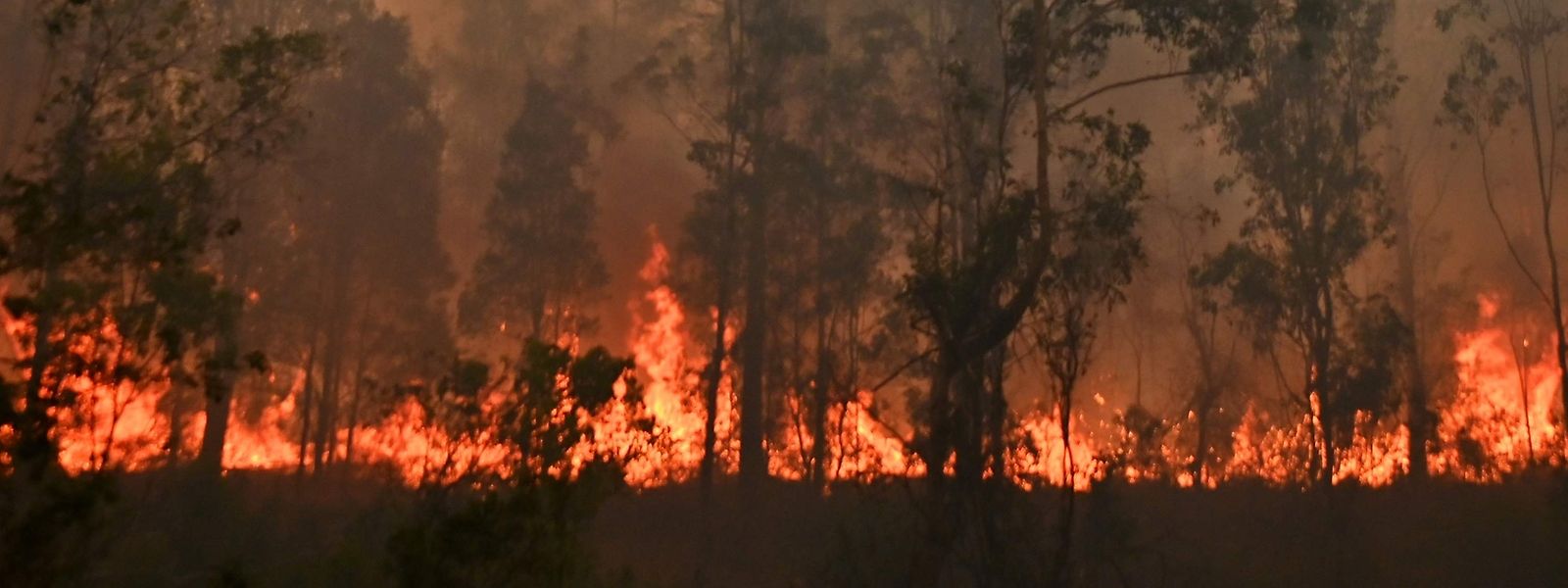 Verheerende Buschfeuer In Australien